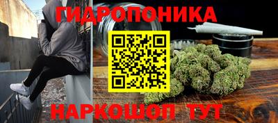 дурь Можга