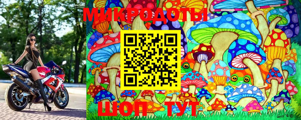 Псилоцибиновые грибы Magic Shrooms Шебекино