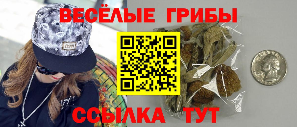 Псилоцибиновые грибы Psilocybine cubensis  Вход с VPN  Галлюциногенные грибы Magic Shrooms  наркошоп  Шебекино 